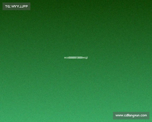 wca电子竞技公司(电子竞技wcg)